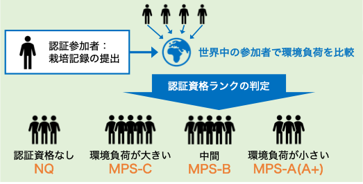 MPS認証資格ランク