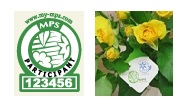 MPS-ABCのシステム
