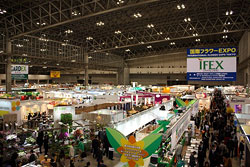 IFEX2009の様子